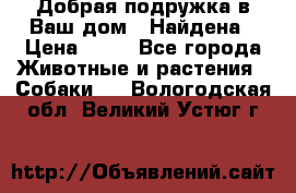 Добрая подружка,в Ваш дом!!!Найдена › Цена ­ 10 - Все города Животные и растения » Собаки   . Вологодская обл.,Великий Устюг г.